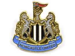 NEWCASTLE CREST PIN  BADGE